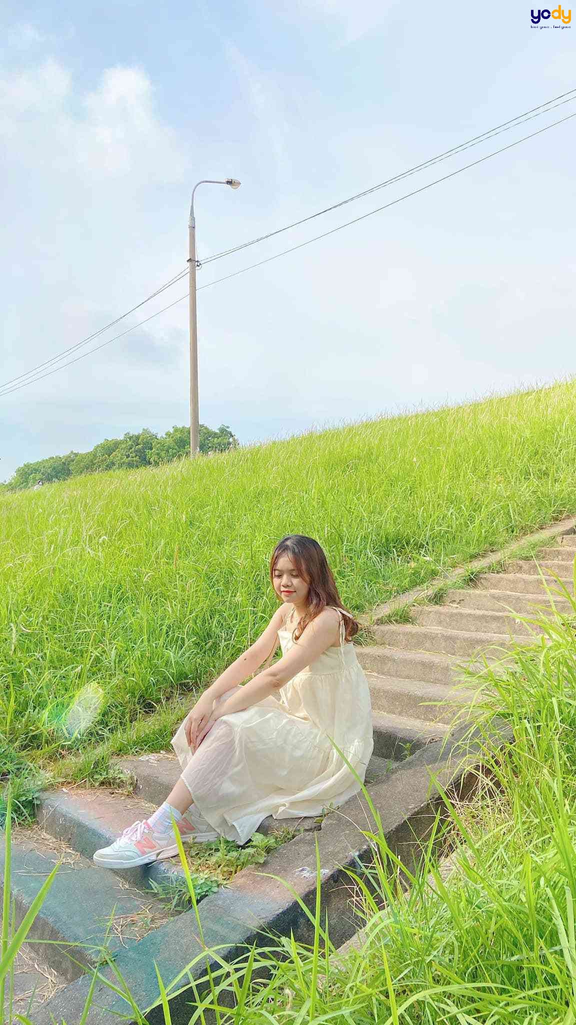 chụp ảnh đồng cỏ xanh