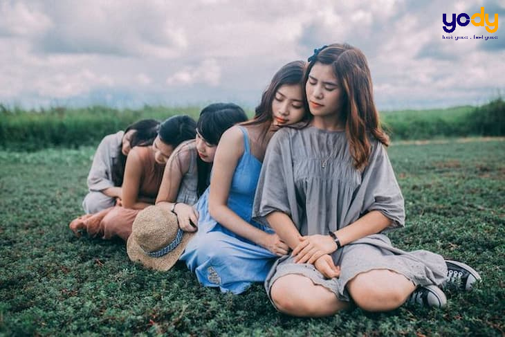chụp ảnh đồng cỏ xanh