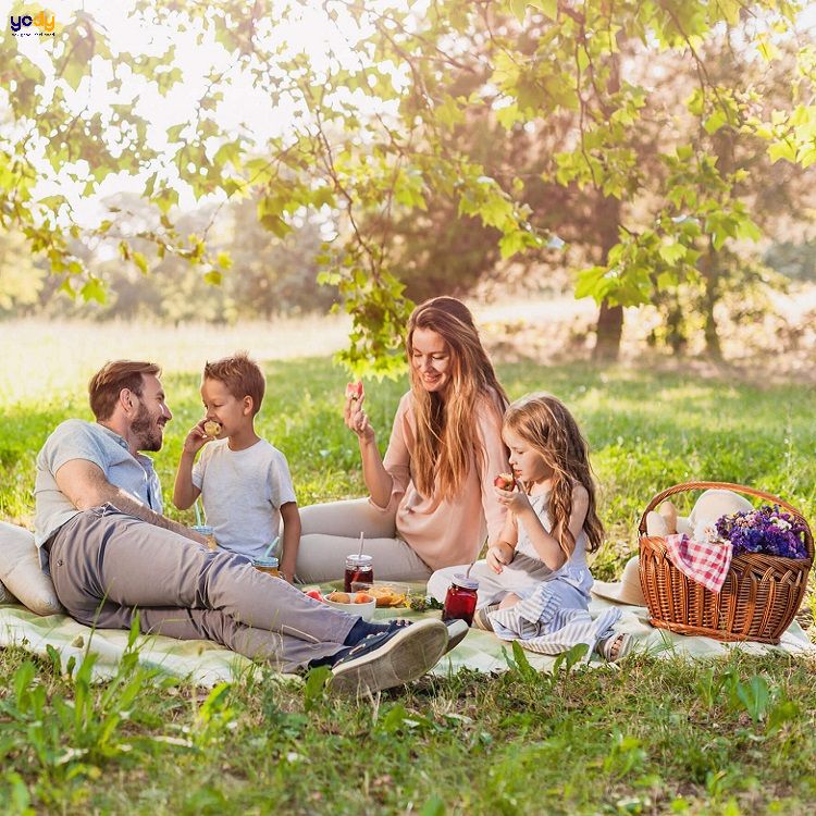 hình ảnh Từ vựng tiếng Trung khi đi picnic 2  Tự học tiếng Trung Quốc tại  nhà với THANHMAIHSK