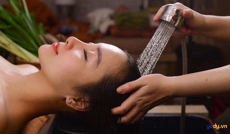 Dầu gội trị gàu