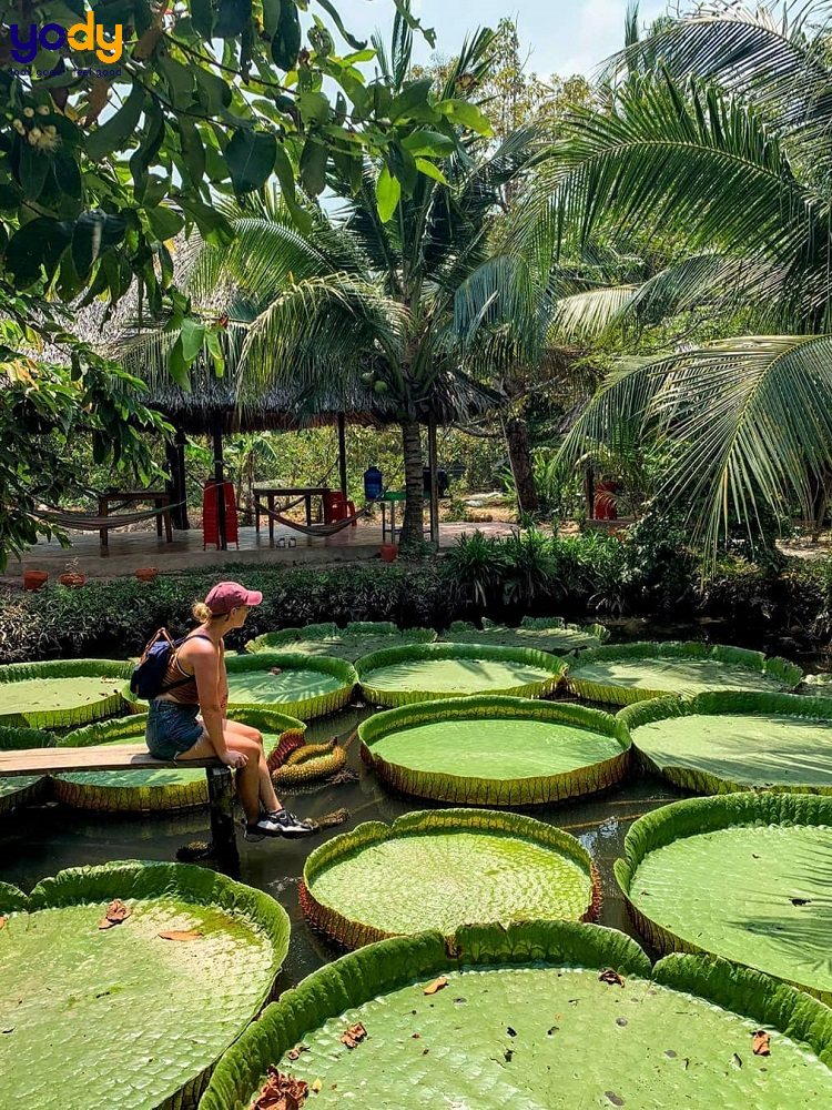 Khu du lịch Cồn Ấu