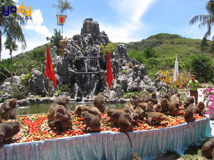 địa điểm du lịch Nha Trang