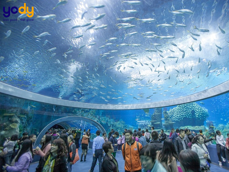 địa điểm du lịch Nha Trang