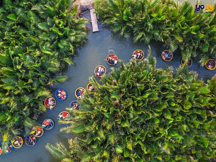  Rừng dừa độc đáo Đà Nẵng