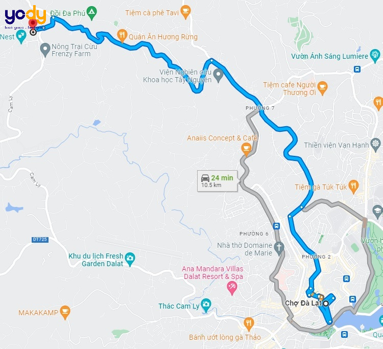 Map dẫn đường tới đồi cỏ hồng thung lũng vàng