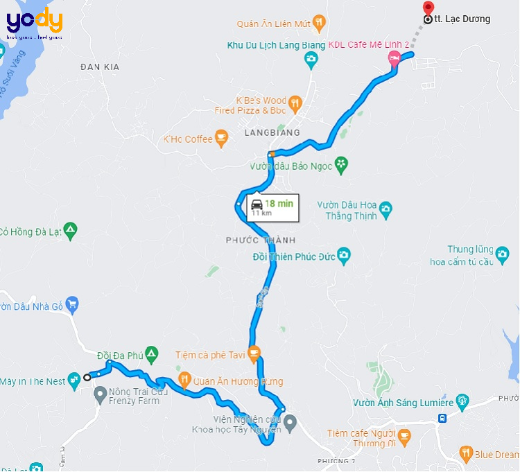 Tuyến đường đến đồi cỏ hồng cây thông cô đơn