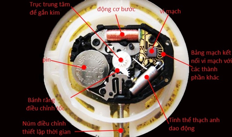 đồng hồ máy Quartz