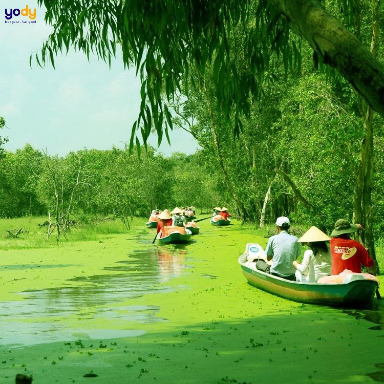 Tour du lịch đồng bằng Sông Cửu Long - Du lịch 1 ngày gần Sài Gòn