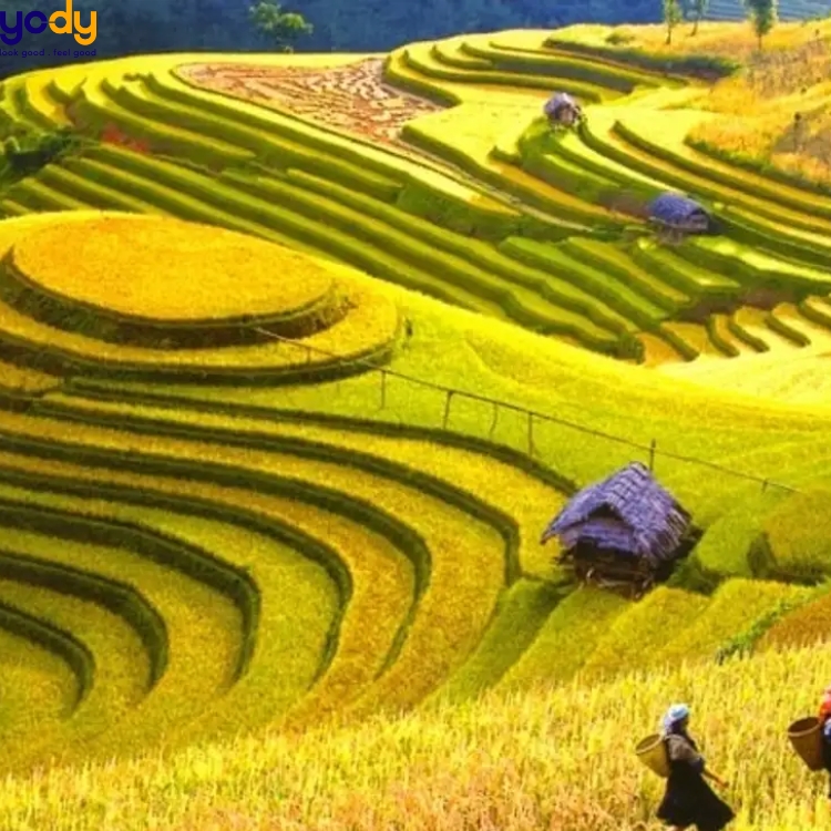 Du lịch Điện Biên