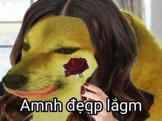 em đẹp lắm meme