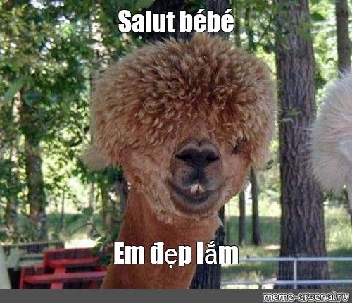 em đẹp lắm meme