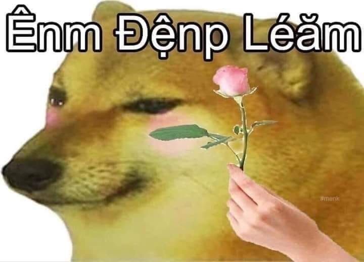 em đẹp lắm meme