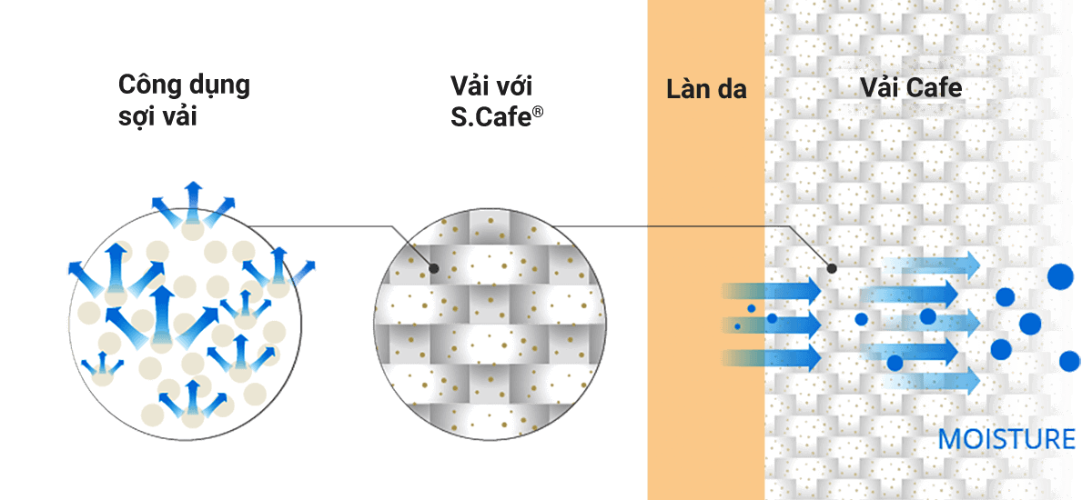 áo polo vai cafe Yody
