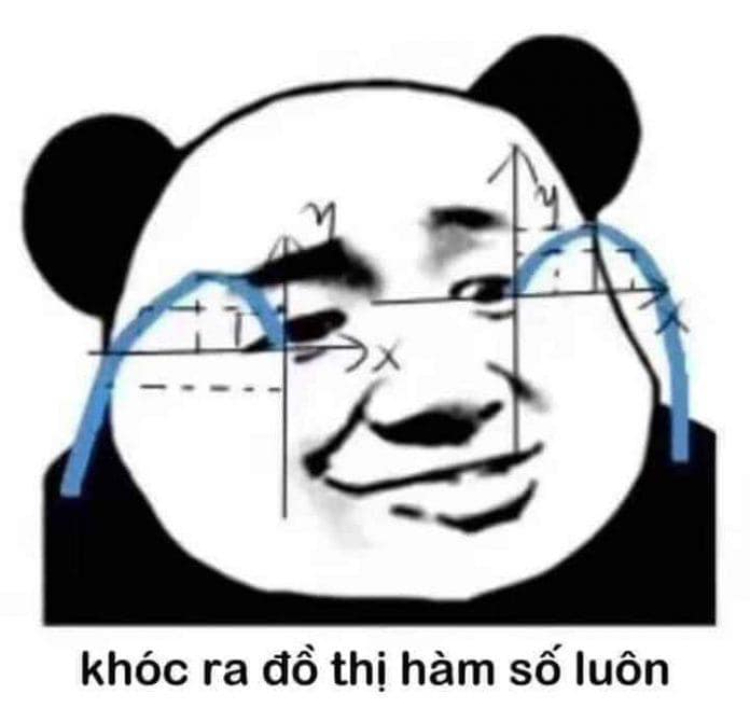 Meme gấu trúc hét lên đồ thị hàm số