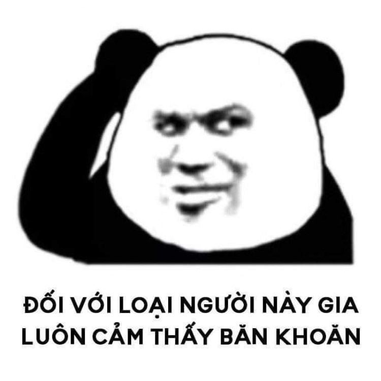 Meme gấu trúc thú vị