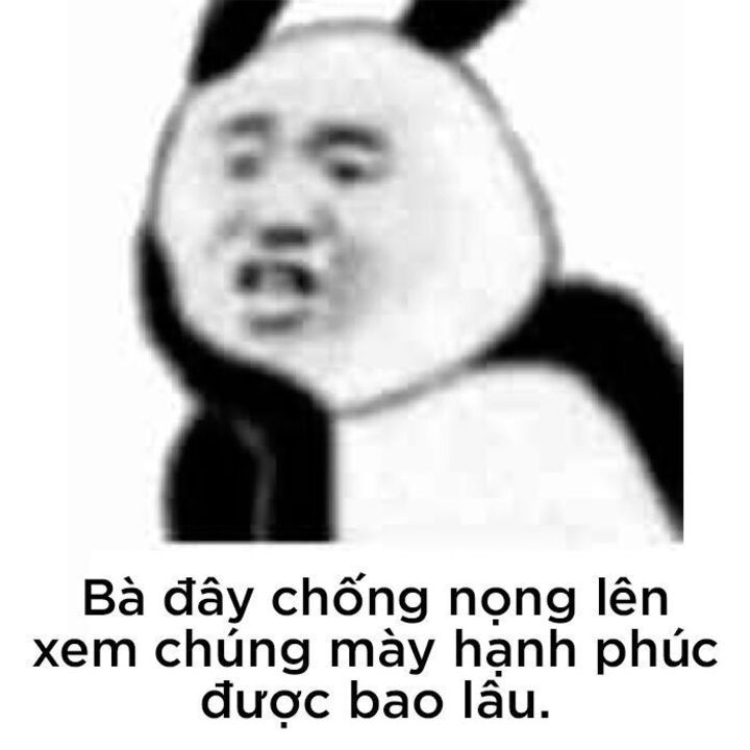 meme tuyệt vời