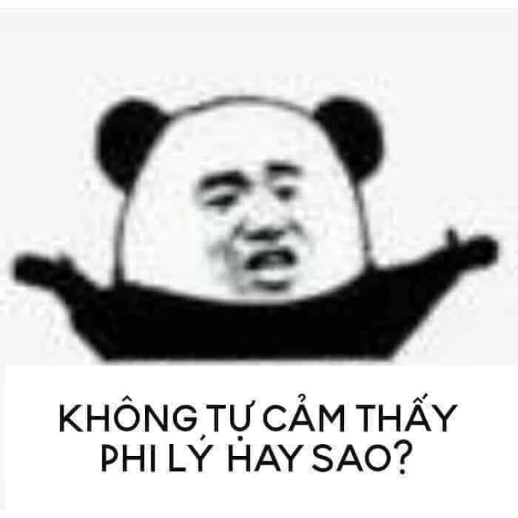 ảnh meme tuyệt vời