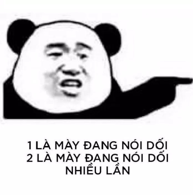 Hình ảnh Meme gấu trúc gắt gỏng