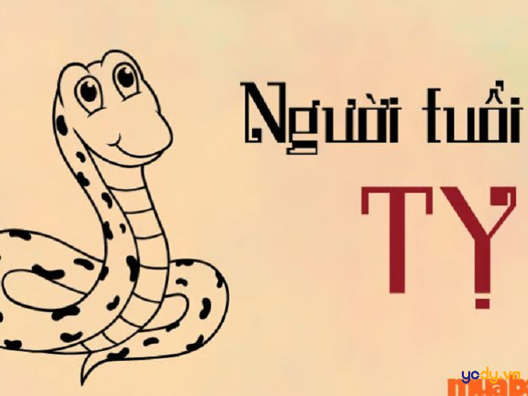 Tử vi cho người sinh giờ dậu