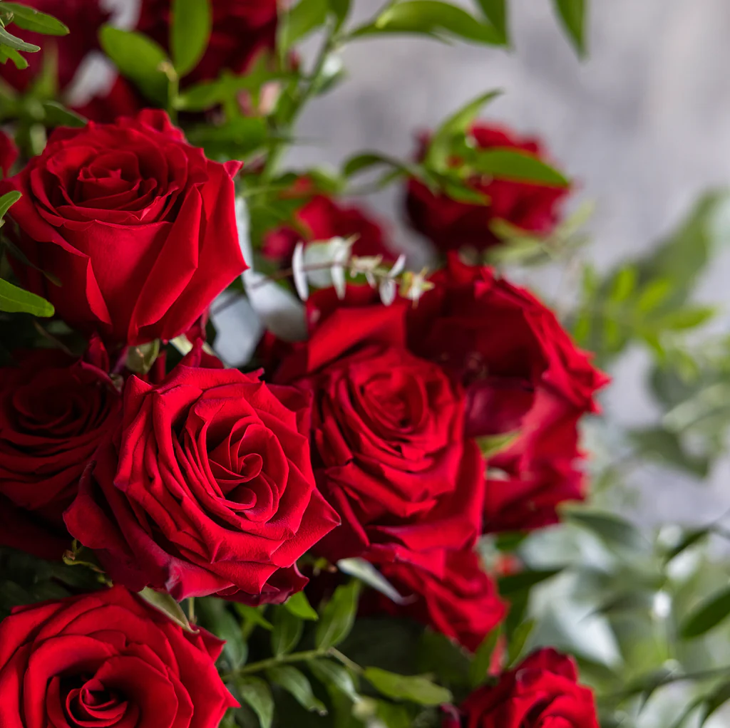 Tuyển tập những bó hoa hồng tặng sinh nhật đẹp miễn chê