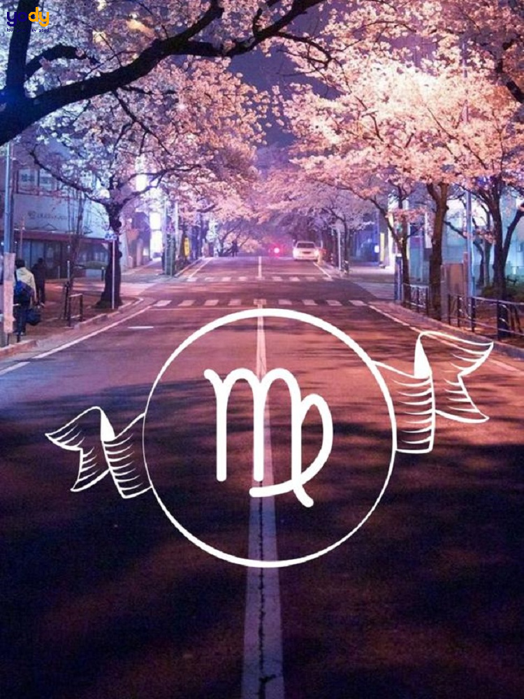 Hình nền cung Xử Nữ đẹp phong cách Tokyo life
