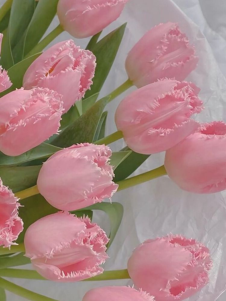 Hình nền hoa đẹp ngập tràn sắc hương mà bạn nên sở hữu
