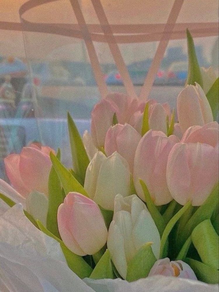 Ghim của Ngân Đào trên Ảnh nền | Hoa tulip, Nhật ký nghệ thuật, Galaxy  wallpaper