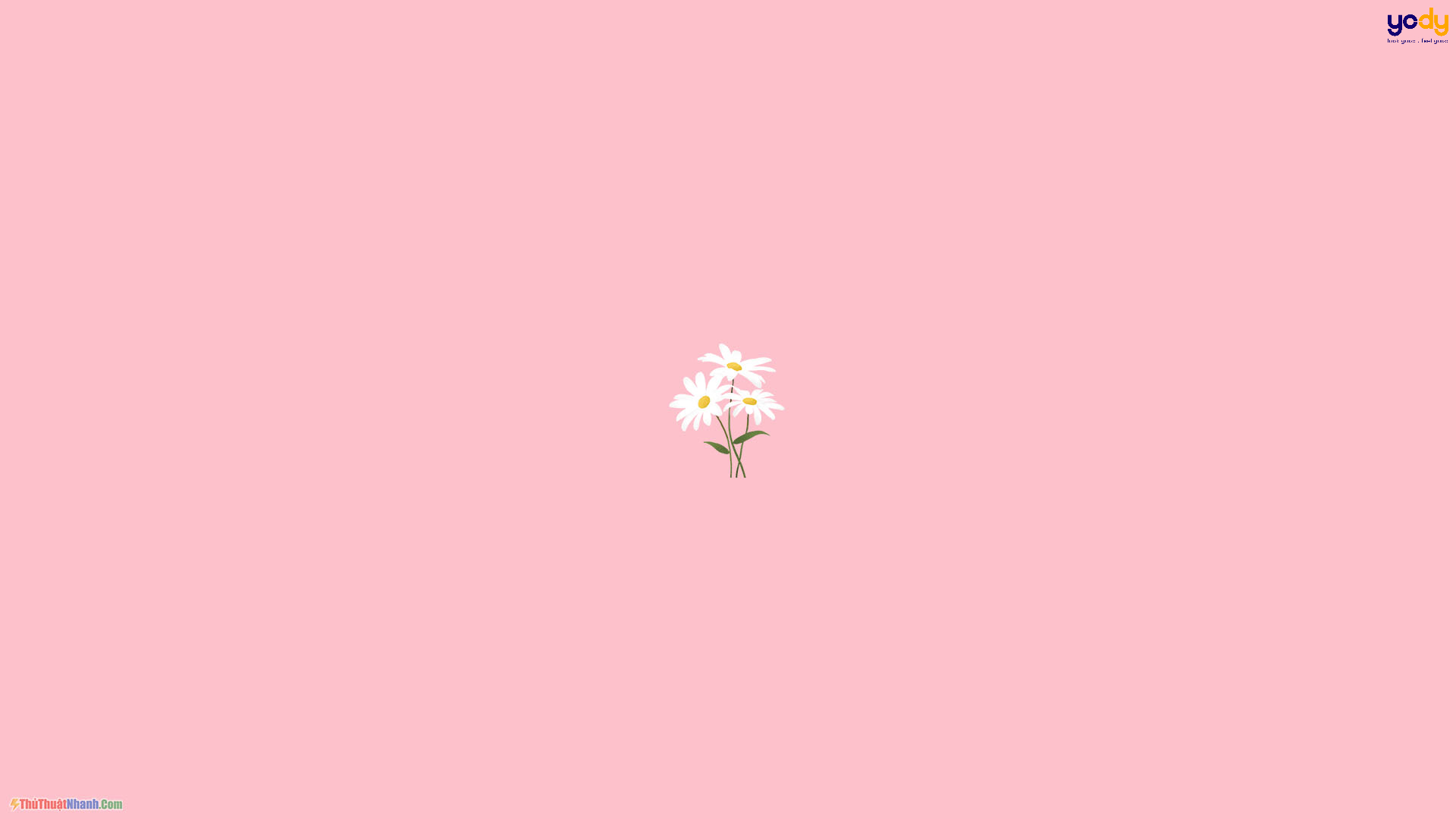 Top 100+ Hình nền màu hồng Đẹp, Dễ Thương, Cute dành cho điện thoại 29 |  Pink flowers background, Flower backgrounds, Flower background wallpaper