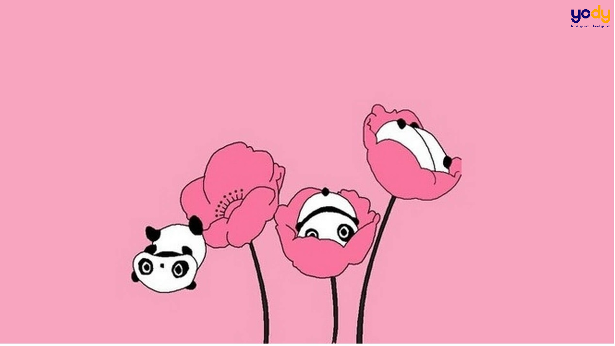 hình nền màu hồng