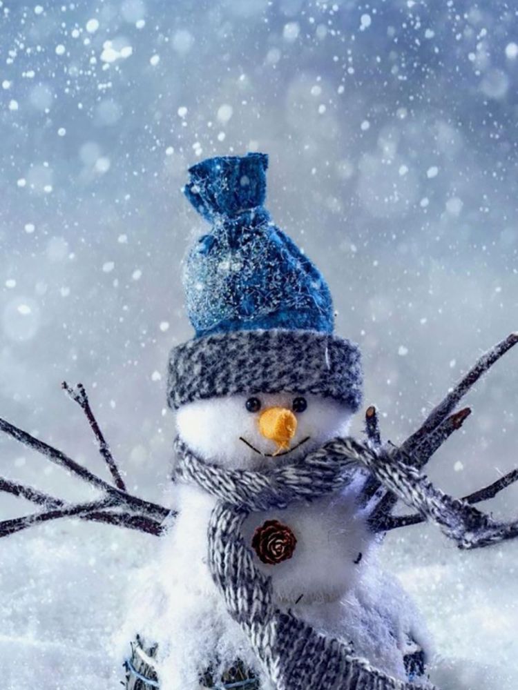 Người Tuyết Hoạt Hình Giáng Sinh - Ảnh miễn phí trên Pixabay - Pixabay