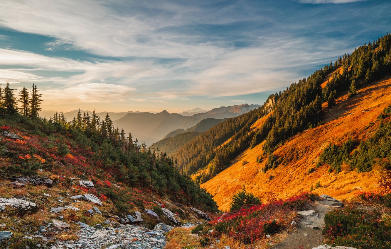 Hình nền thiên nhiên: Top 10 ảnh nền thiên nhiên đẹp nhất