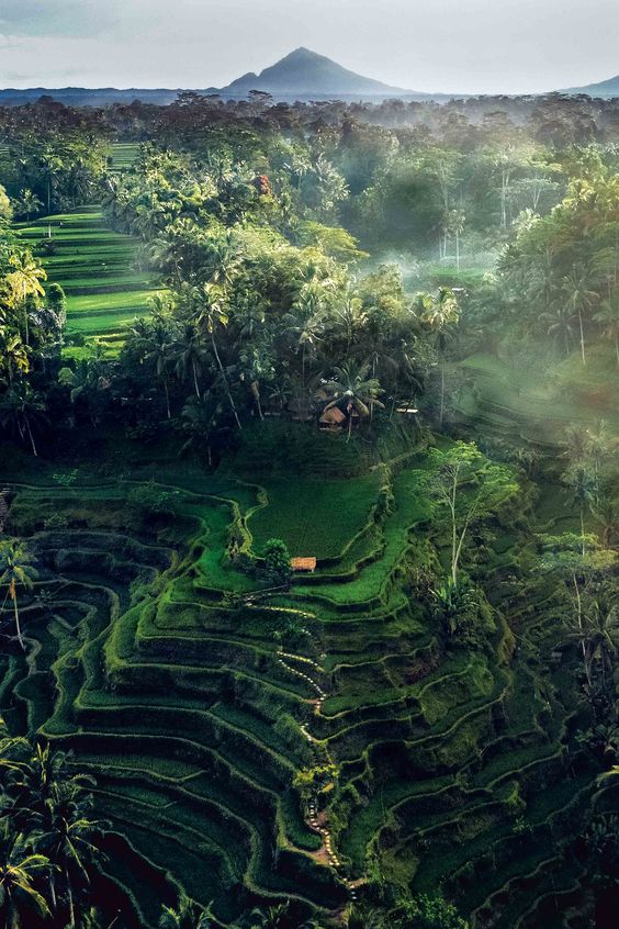 hình nền Việt Nam