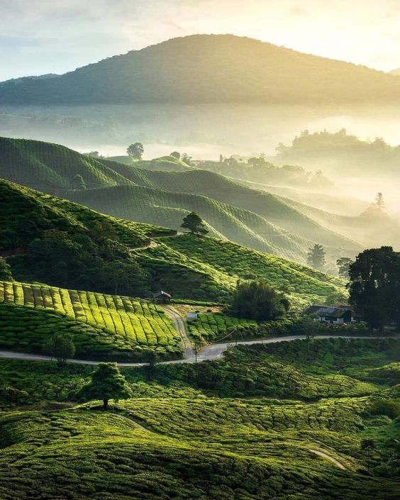 hình nền Việt Nam
