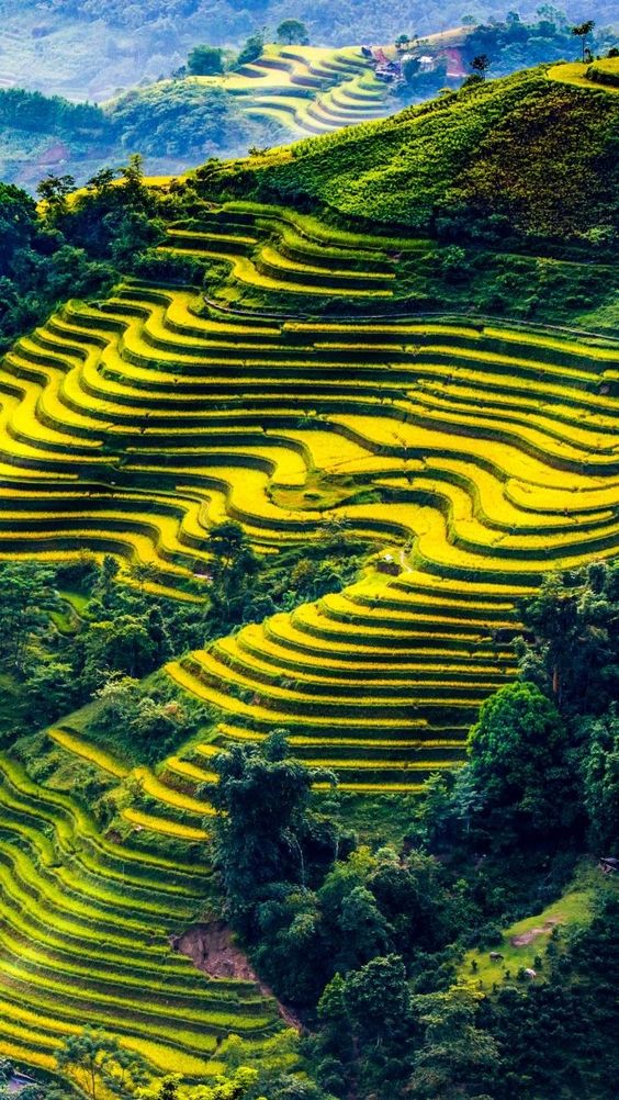 hình nền Việt Nam