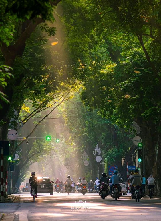 hình nền Việt Nam