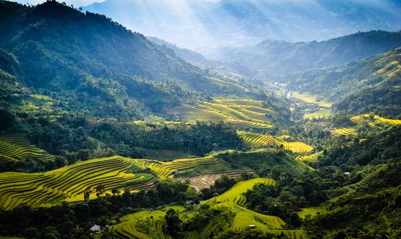 hình nền Việt Nam