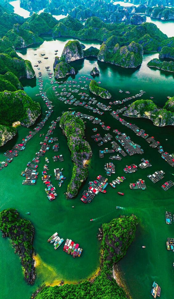 hình nền Việt Nam