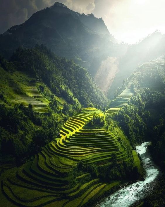 hình nền Việt Nam