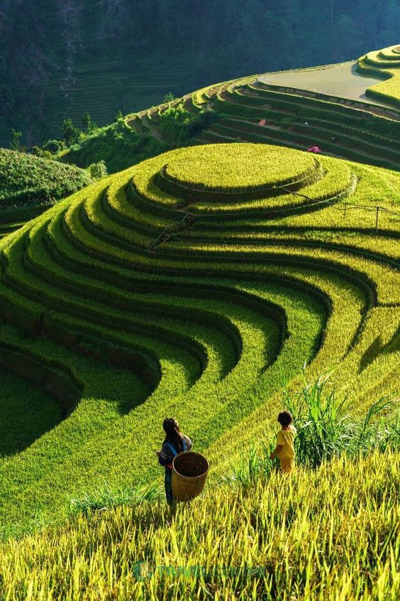 hình nền Việt Nam
