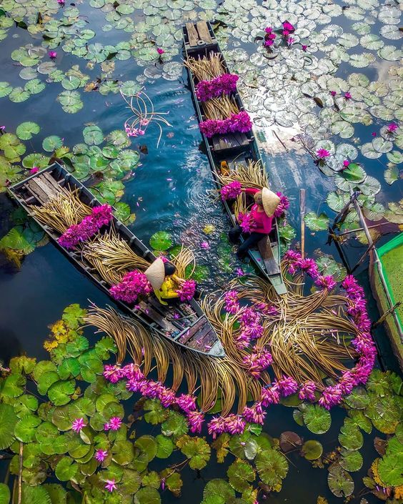 hình nền Việt Nam