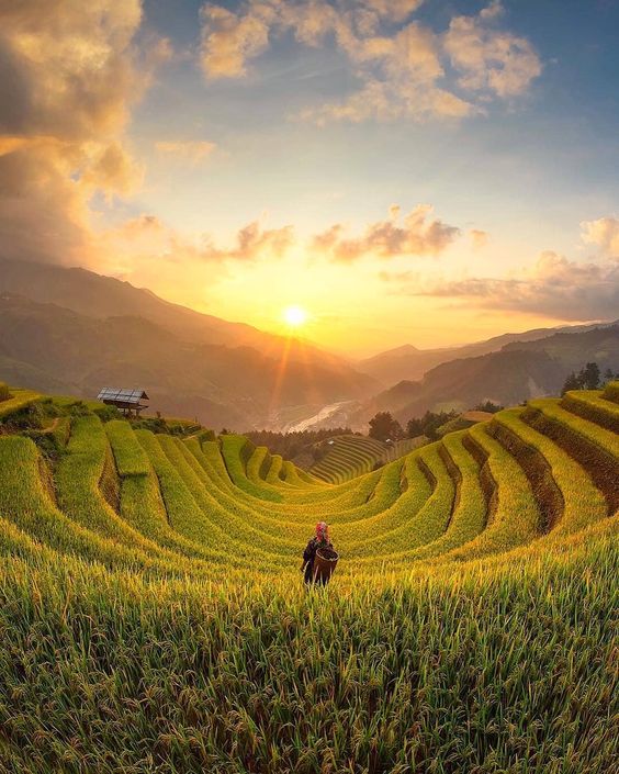 hình nền Việt Nam