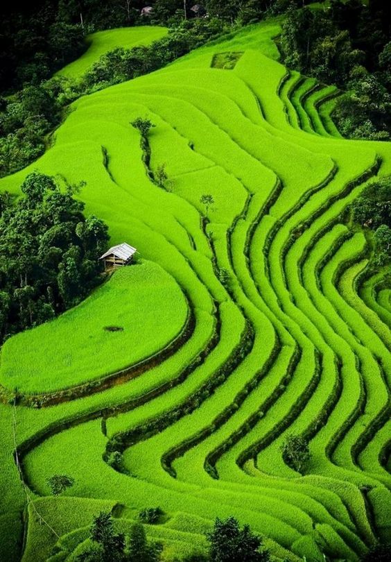 hình nền Việt Nam