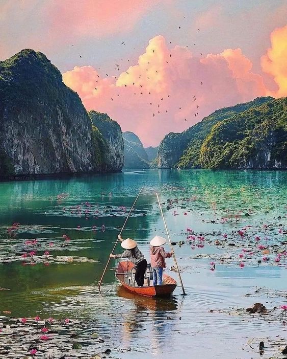 hình nền Việt Nam