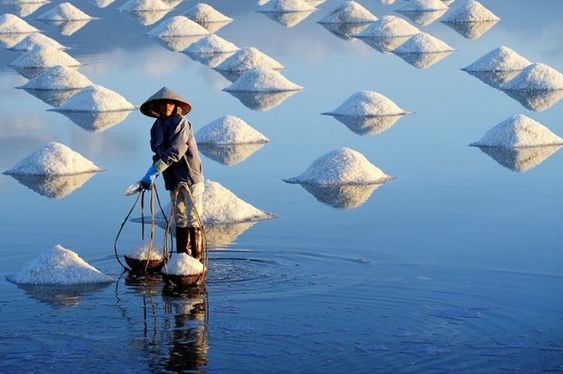hình nền Việt Nam