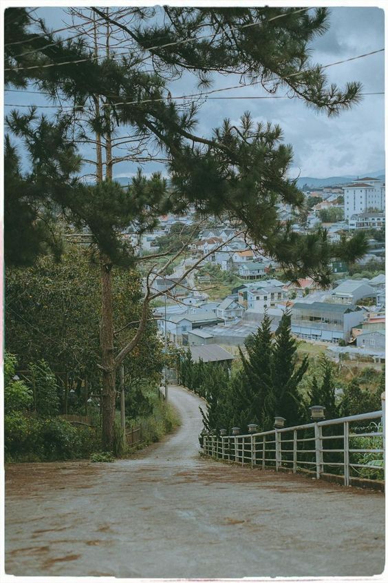 hình nền Việt Nam