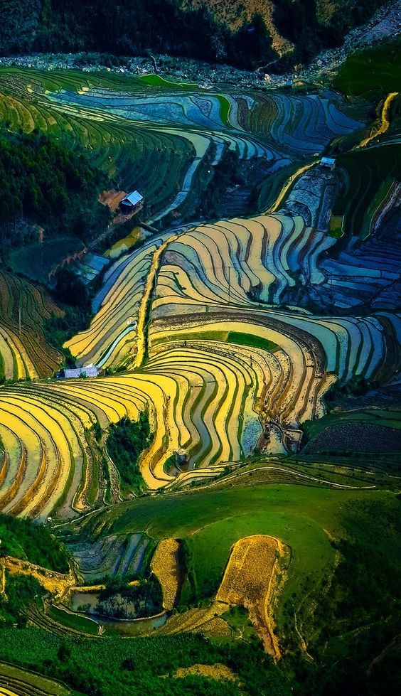 hình nền Việt Nam