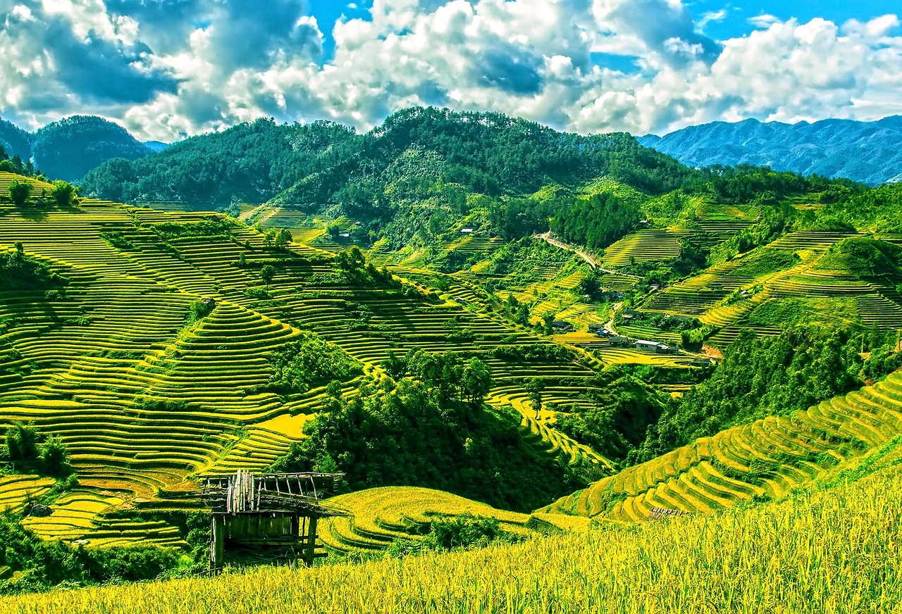 hình nền Việt Nam