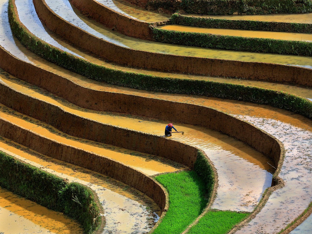 hình nền Việt Nam