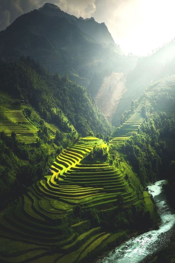 hình nền Việt Nam