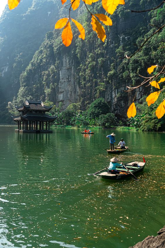 hình nền Việt Nam